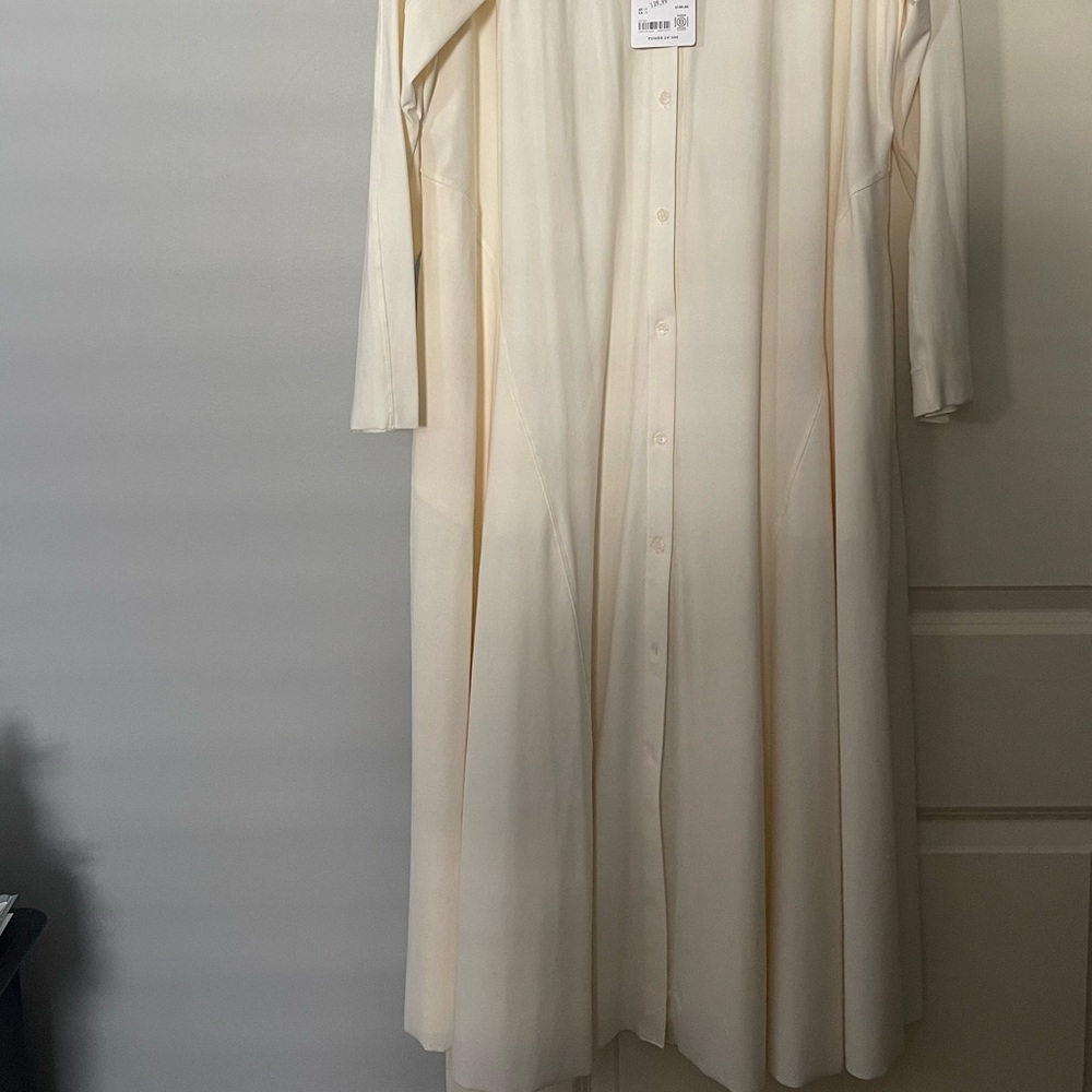 Elegant Cream Button-Down Flowy Dress - Picture 5 of 5